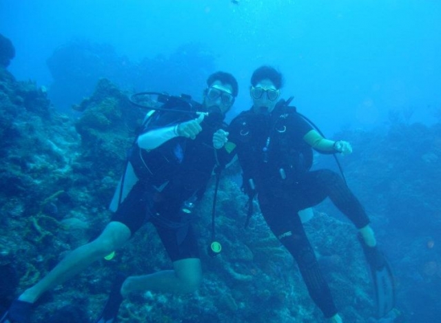  Reef Diving 